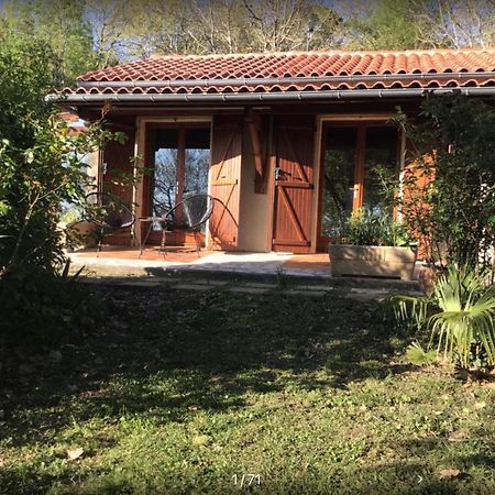 Le Gite De Gascogne Lectoure Εξωτερικό φωτογραφία