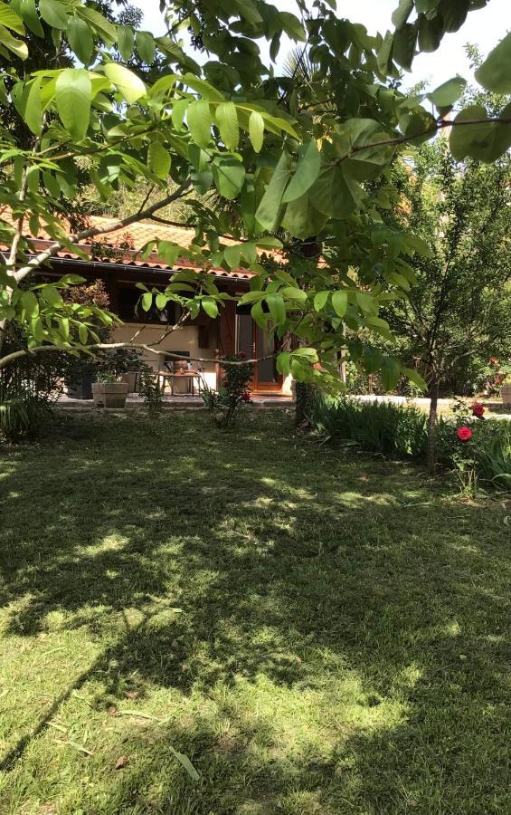 Le Gite De Gascogne Lectoure Εξωτερικό φωτογραφία
