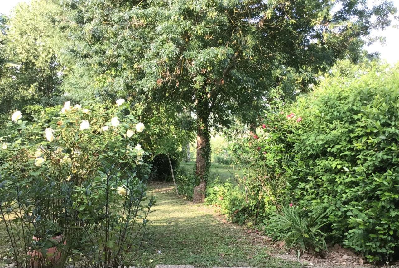 Le Gite De Gascogne Lectoure Εξωτερικό φωτογραφία